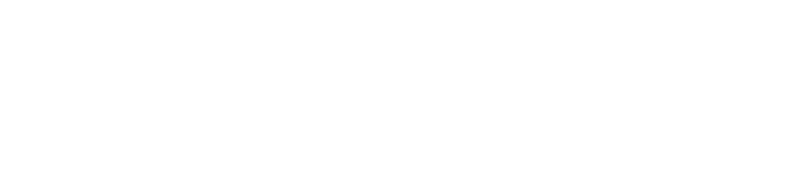 Peak Movers — Peak of the Moving Business